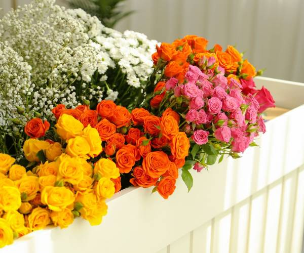 Pompon Studio workspace and team